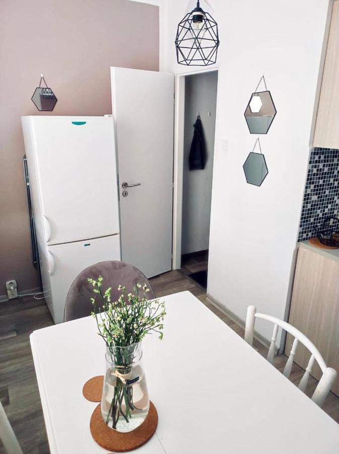 Apartman Domov Decin Bagian luar foto